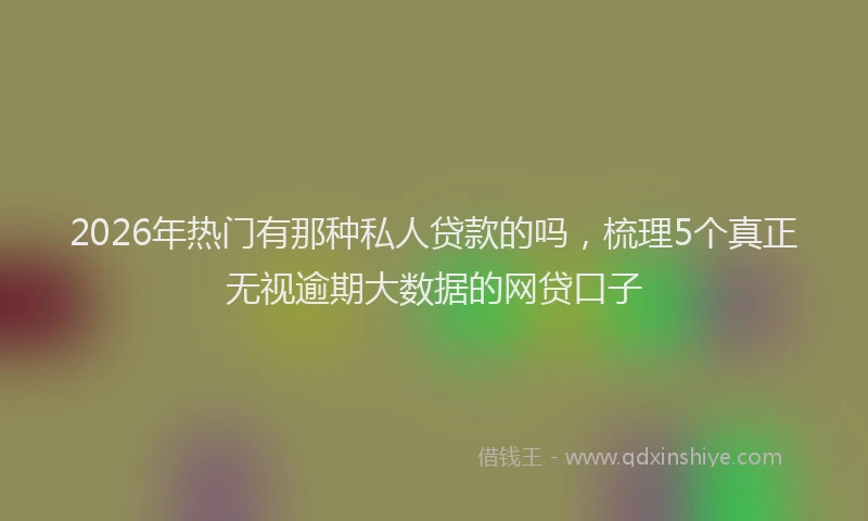 2026年热门有那种私人贷款的吗,梳理5个真正无视逾期大数据的网贷口子