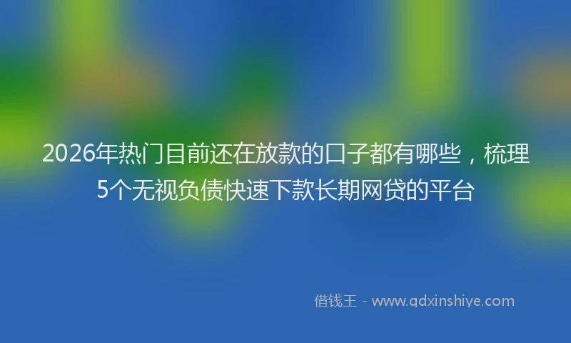 2026年热门目前还在放款的口子都有哪些，梳理5个无视负债快速下款长期网贷的平台