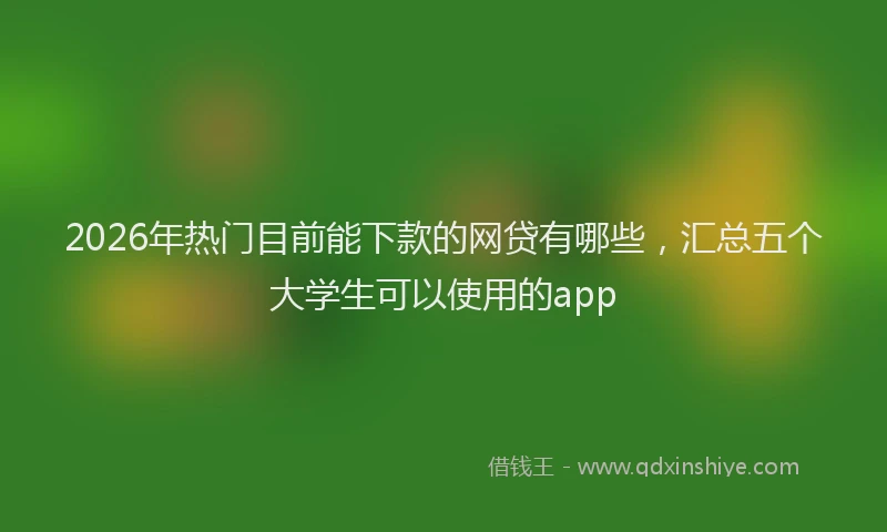 2026年热门目前能下款的网贷有哪些，汇总五个大学生可以使用的app
