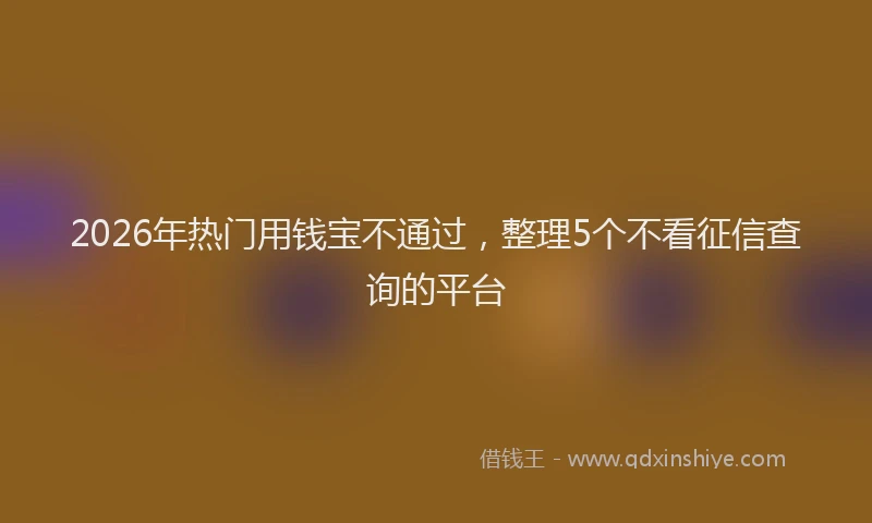 2026年热门用钱宝不通过，整理5个不看征信查询的平台