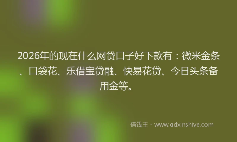 2026年的现在什么网贷口子好下款有：微米金条、口袋花、乐借宝贷融、快易花贷、今日头条备用金等。