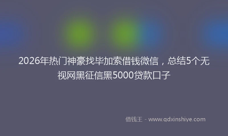 2026年热门神豪找毕加索借钱微信，总结5个无视网黑征信黑5000贷款口子