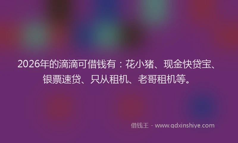 2026年的滴滴可借钱有：花小猪、现金快贷宝、银票速贷、只从租机、老哥租机等。