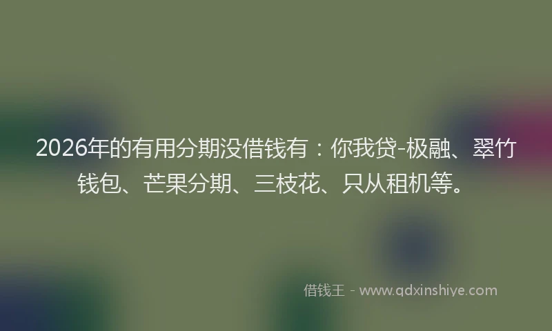 2026年的有用分期没借钱有：你我贷-极融、翠竹钱包、芒果分期、三枝花、只从租机等。
