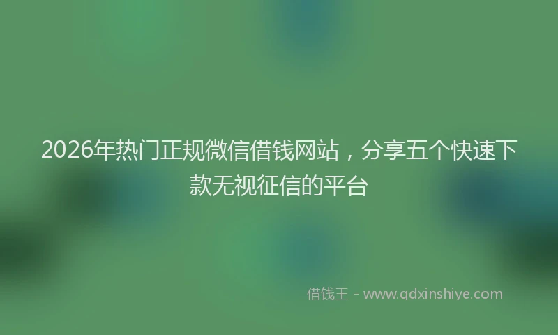 2026年热门正规微信借钱网站，分享五个快速下款无视征信的平台