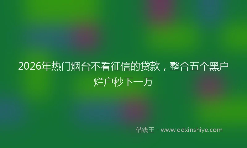 2026年热门烟台不看征信的贷款，整合五个黑户烂户秒下一万