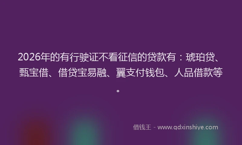 2026年的有行驶证不看征信的贷款有:琥珀贷、甄宝借、借贷宝易融、翼支付钱包、人品借款等。