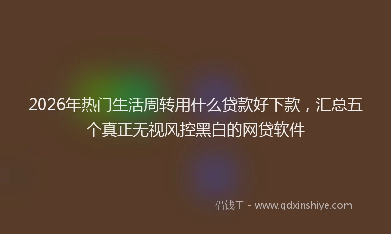 2026年热门生活周转用什么贷款好下款，汇总五个真正无视风控黑白的网贷软件