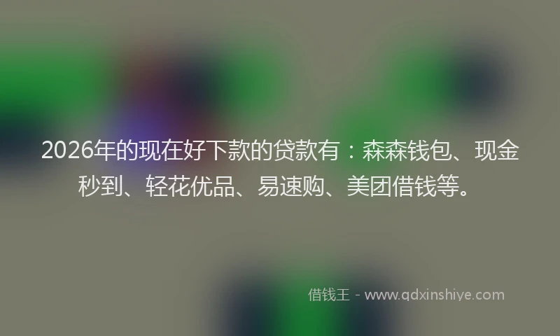 2026年的现在好下款的贷款有：森森钱包、现金秒到、轻花优品、易速购、美团借钱等。