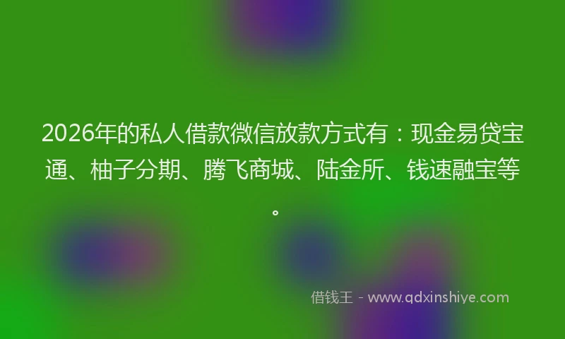 2026年的私人借款微信放款方式有：现金易贷宝通、柚子分期、腾飞商城、陆金所、钱速融宝等。