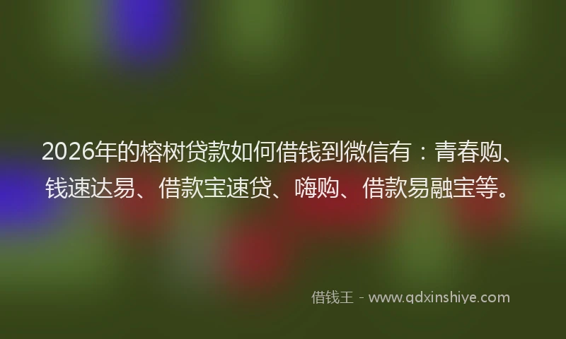 2026年的榕树贷款如何借钱到微信有：青春购、钱速达易、借款宝速贷、嗨购、借款易融宝等。