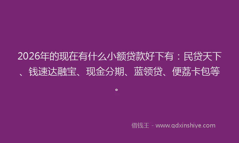 2026年的现在有什么小额贷款好下有：民贷天下、钱速达融宝、现金分期、蓝领贷、便荔卡包等。