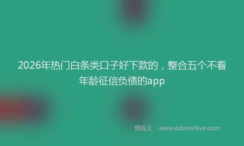 2026年热门白条类口子好下款的，整合五个不看年龄征信负债的app