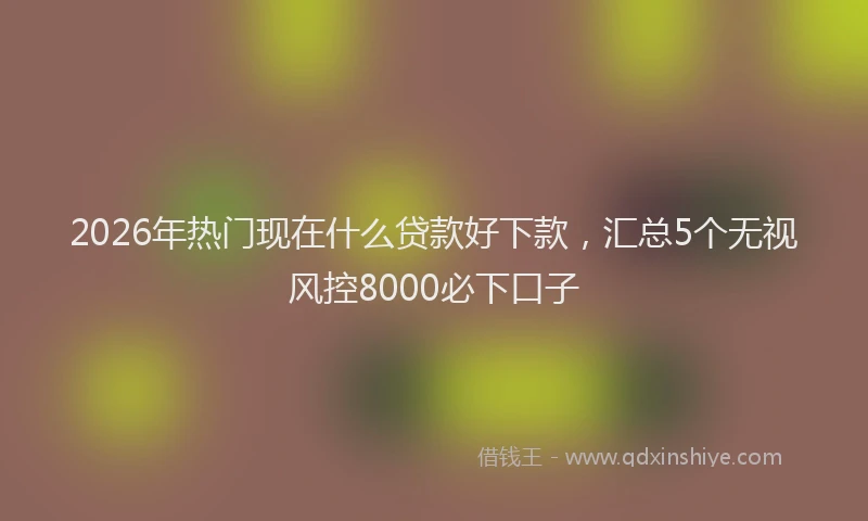 2026年热门现在什么贷款好下款，汇总5个无视风控8000必下口子