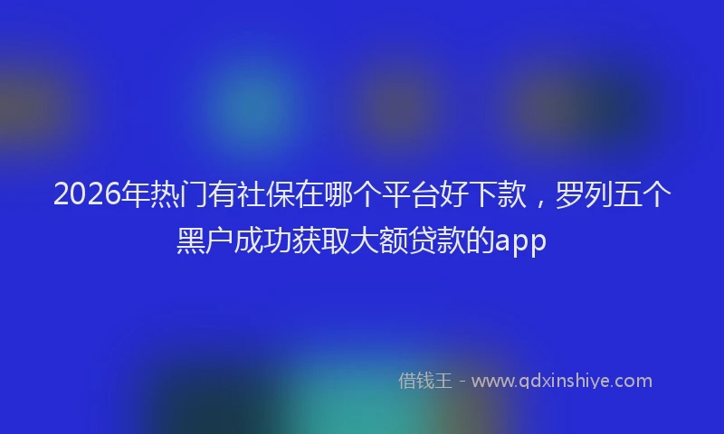 2026年热门有社保在哪个平台好下款，罗列五个黑户成功获取大额贷款的app
