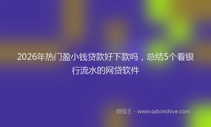 2026年热门盈小钱贷款好下款吗，总结5个看银行流水的网贷软件