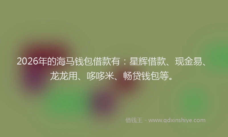 2026年的海马钱包借款有：星辉借款、现金易、龙龙用、哆哆米、畅贷钱包等。