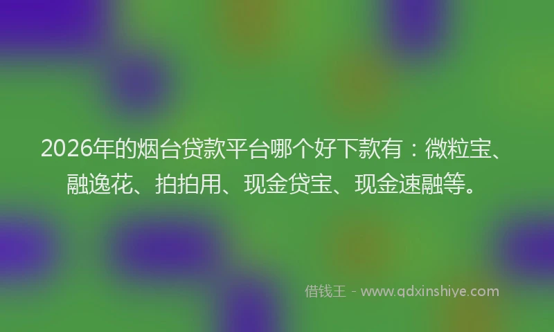 2026年的烟台贷款平台哪个好下款有：微粒宝、融逸花、拍拍用、现金贷宝、现金速融等。