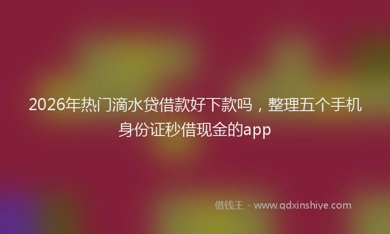 2026年热门滴水贷借款好下款吗,整理五个手机身份证秒借现金的app