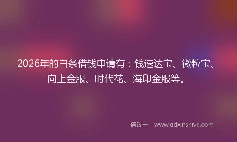 2026年的白条借钱申请有：钱速达宝、微粒宝、向上金服、时代花、海印金服等。