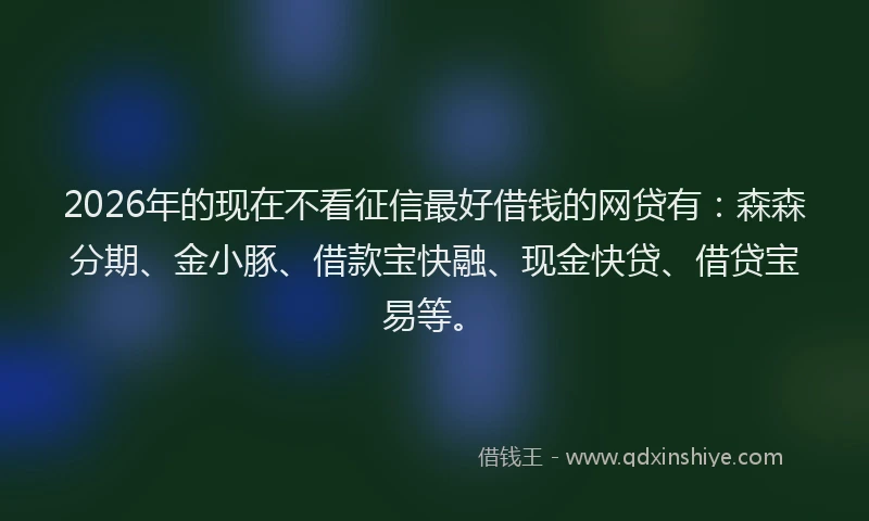 2026年的现在不看征信最好借钱的网贷有：森森分期、金小豚、借款宝快融、现金快贷、借贷宝易等。