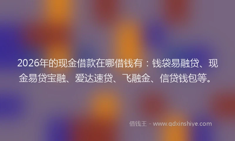 2026年的现金借款在哪借钱有：钱袋易融贷、现金易贷宝融、爱达速贷、飞融金、信贷钱包等。