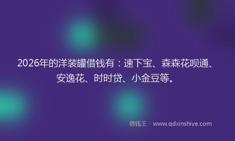 2026年的洋装罐借钱有：速下宝、森森花呗通、安逸花、时时贷、小金豆等。