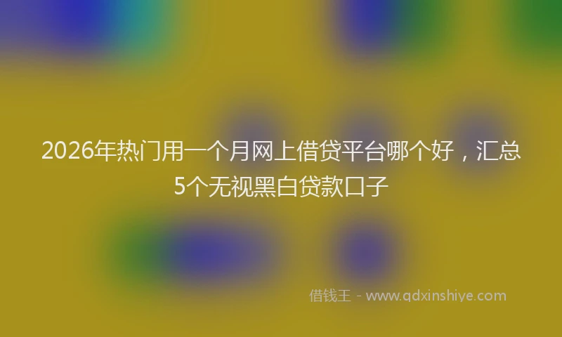 2026年热门用一个月网上借贷平台哪个好，汇总5个无视黑白贷款口子