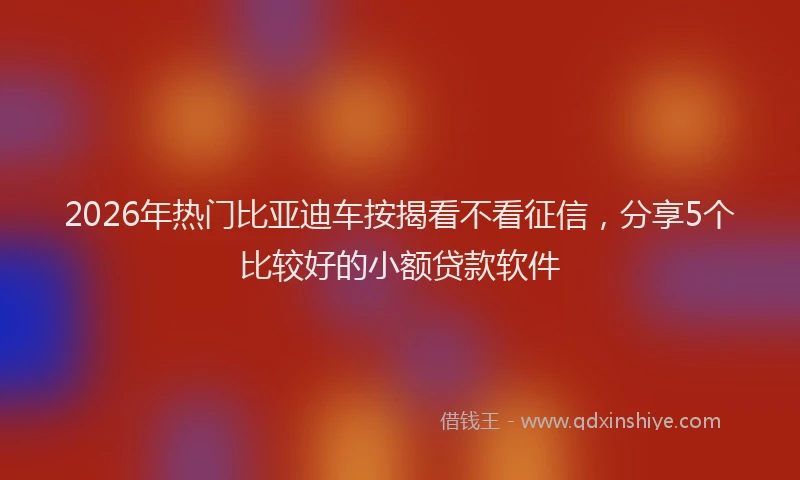 2026年热门比亚迪车按揭看不看征信，分享5个比较好的小额贷款软件