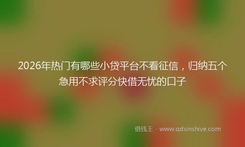 2026年热门有哪些小贷平台不看征信，归纳五个急用不求评分快借无忧的口子