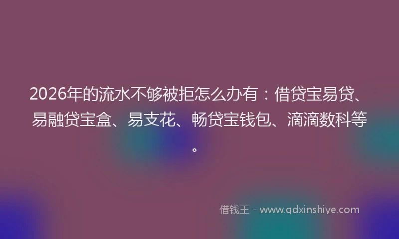 2026年的流水不够被拒怎么办有：借贷宝易贷、易融贷宝盒、易支花、畅贷宝钱包、滴滴数科等。