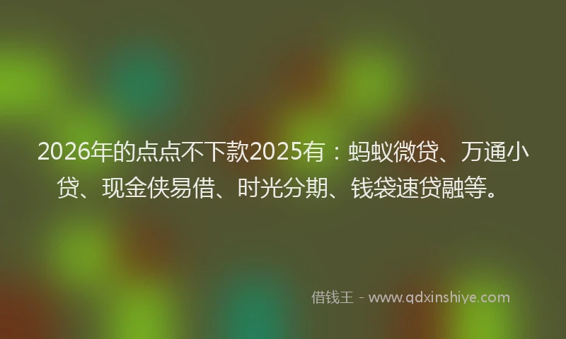 2026年的点点不下款2025有：蚂蚁微贷、万通小贷、现金侠易借、时光分期、钱袋速贷融等。