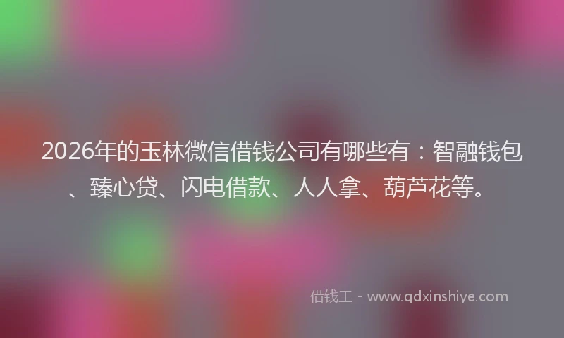 2026年的玉林微信借钱公司有哪些有：智融钱包、臻心贷、闪电借款、人人拿、葫芦花等。