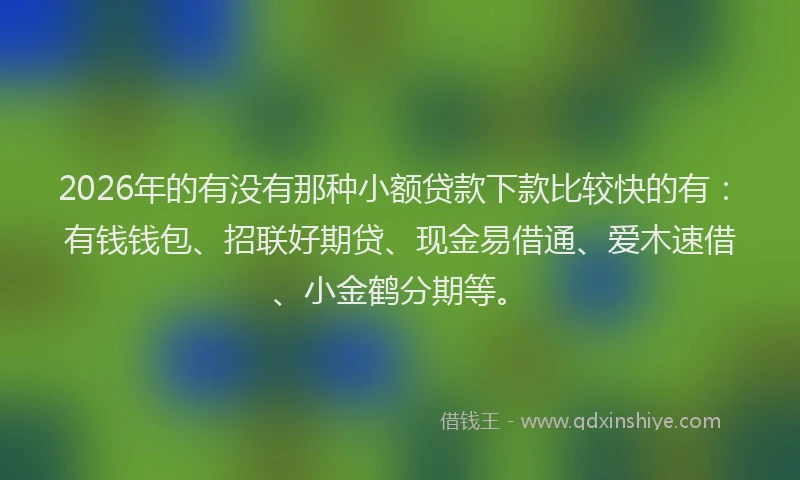 2026年的有没有那种小额贷款下款比较快的有：有钱钱包、招联好期贷、现金易借通、爱木速借、小金鹤分期等。