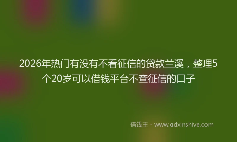 2026年热门有没有不看征信的贷款兰溪，整理5个20岁可以借钱平台不查征信的口子
