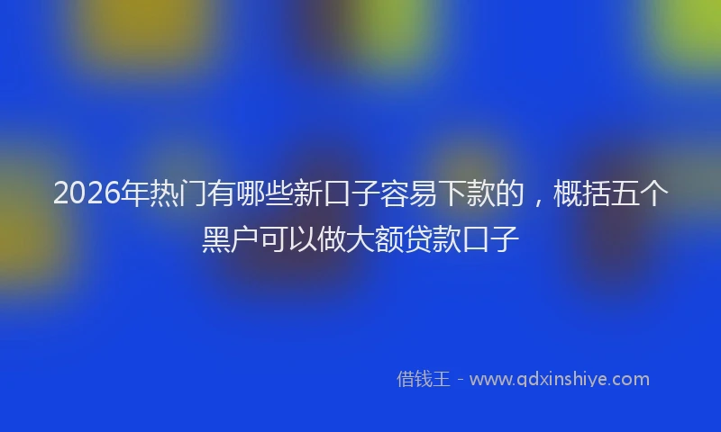 2026年热门有哪些新口子容易下款的，概括五个黑户可以做大额贷款口子