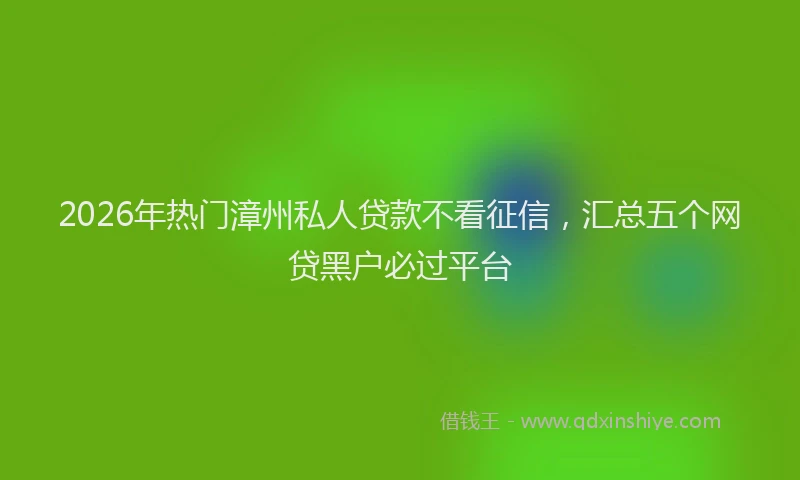 2026年热门漳州私人贷款不看征信，汇总五个网贷黑户必过平台