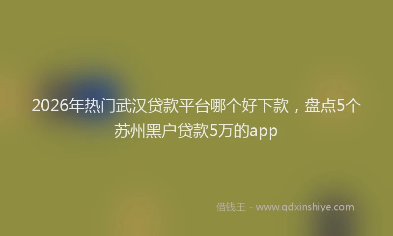 2026年热门武汉贷款平台哪个好下款，盘点5个苏州黑户贷款5万的app