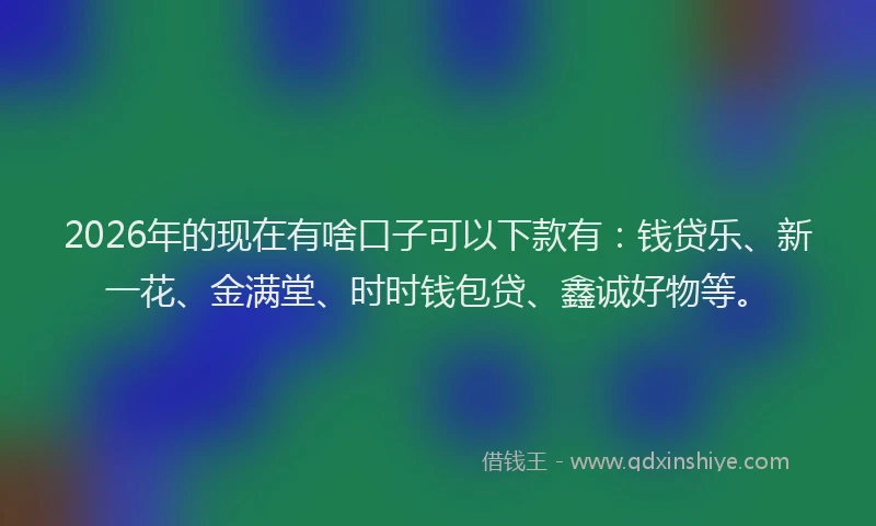 2026年的现在有啥口子可以下款有：钱贷乐、新一花、金满堂、时时钱包贷、鑫诚好物等。