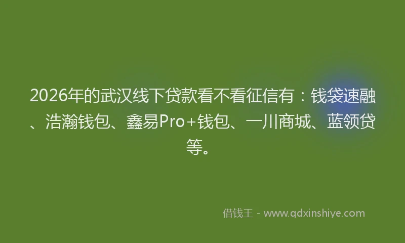 2026年的武汉线下贷款看不看征信有：钱袋速融、浩瀚钱包、鑫易Pro+钱包、一川商城、蓝领贷等。