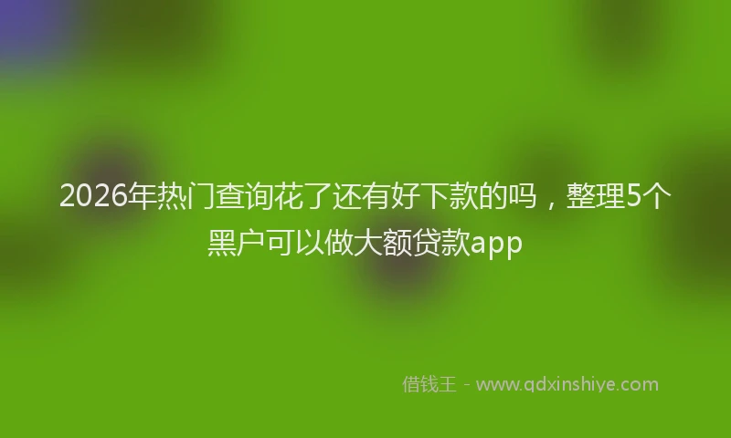 2026年热门查询花了还有好下款的吗，整理5个黑户可以做大额贷款app