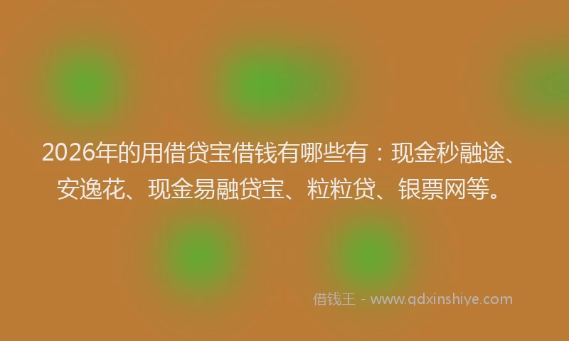 2026年的用借贷宝借钱有哪些有：现金秒融途、安逸花、现金易融贷宝、粒粒贷、银票网等。