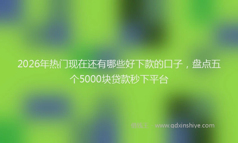 2026年热门现在还有哪些好下款的口子，盘点五个5000块贷款秒下平台