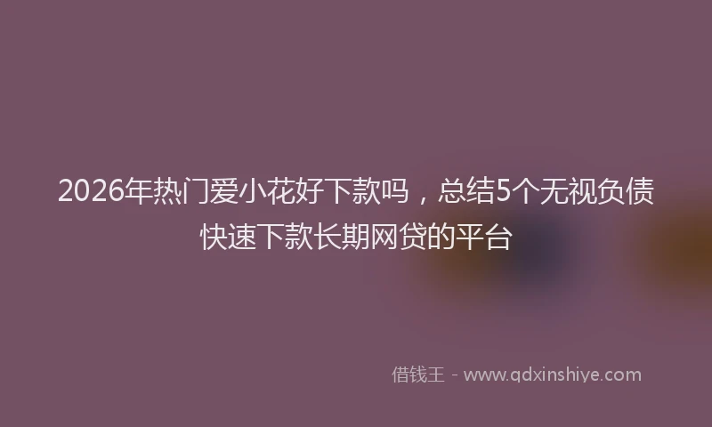 2026年热门爱小花好下款吗，总结5个无视负债快速下款长期网贷的平台