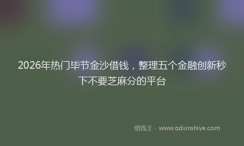 2026年热门毕节金沙借钱，整理五个金融创新秒下不要芝麻分的平台