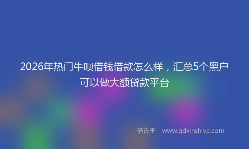 2026年热门牛呗借钱借款怎么样，汇总5个黑户可以做大额贷款平台