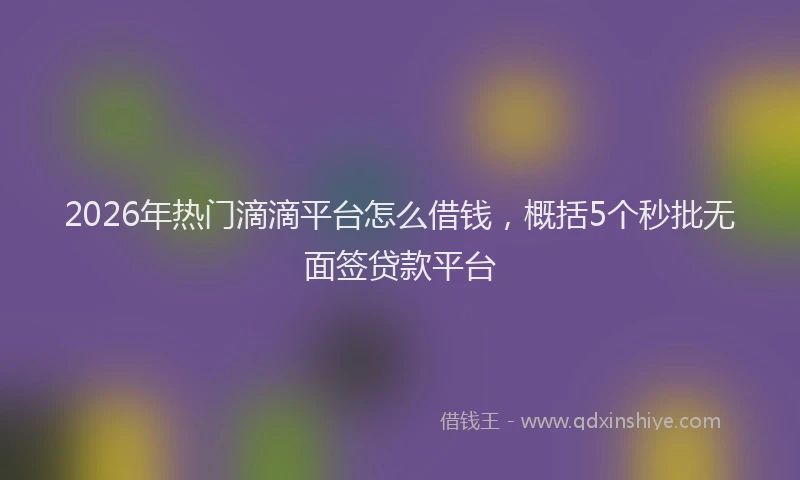 2026年热门滴滴平台怎么借钱，概括5个秒批无面签贷款平台