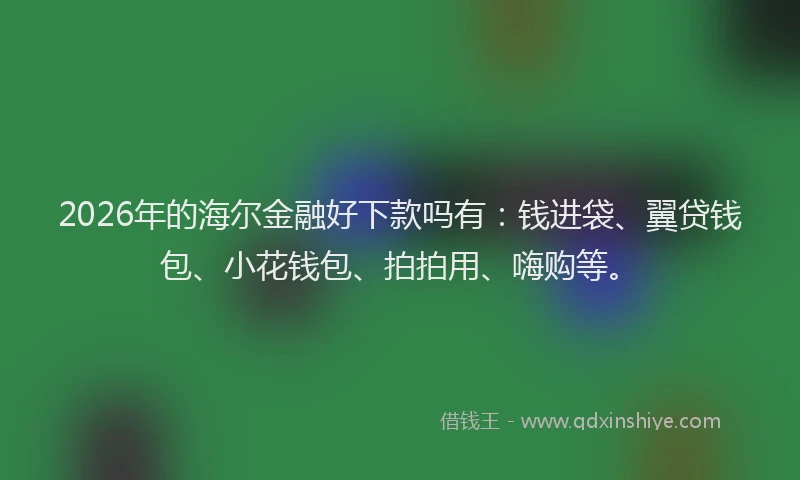 2026年的海尔金融好下款吗有：钱进袋、翼贷钱包、小花钱包、拍拍用、嗨购等。