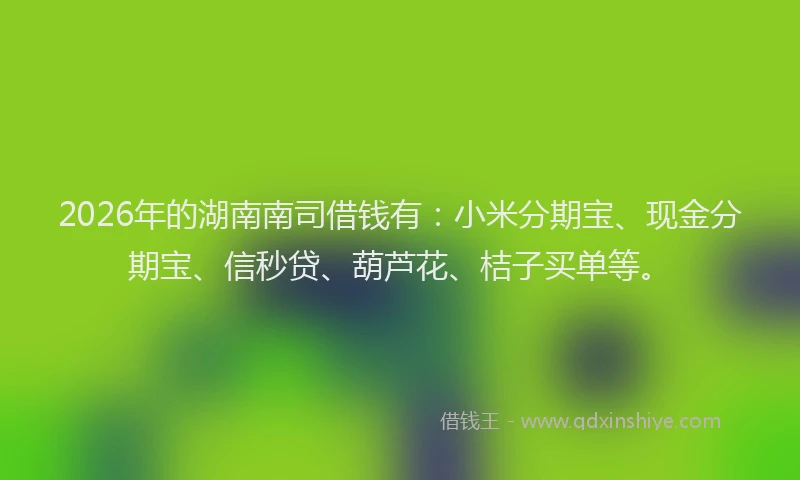 2026年的湖南南司借钱有：小米分期宝、现金分期宝、信秒贷、葫芦花、桔子买单等。