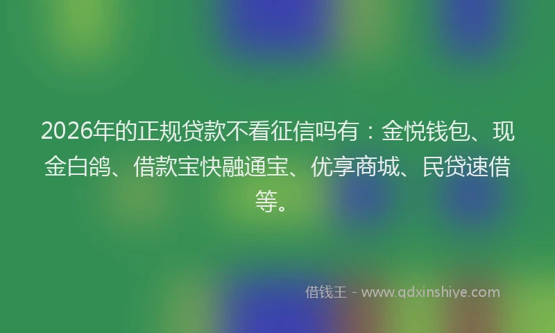 2026年的正规贷款不看征信吗有:金悦钱包、现金白鸽、借款宝快融通宝、优享商城、民贷速借等。